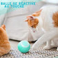 CrazyBall - La balle intelligente rechargeable pour Chat