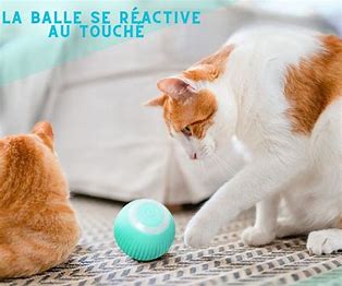 CrazyBall - La balle intelligente rechargeable pour Chat