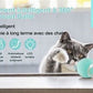 CrazyBall - La balle intelligente rechargeable pour Chat