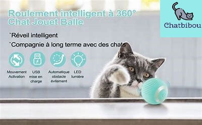 CrazyBall - La balle intelligente rechargeable pour Chat