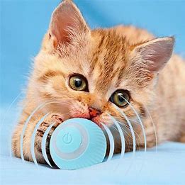 CrazyBall - La balle intelligente rechargeable pour Chat