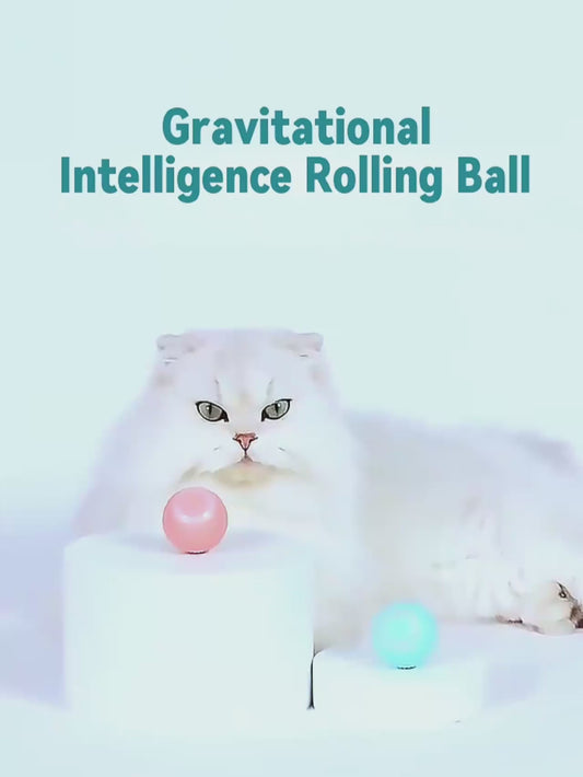 CrazyBall - La balle intelligente rechargeable pour Chat