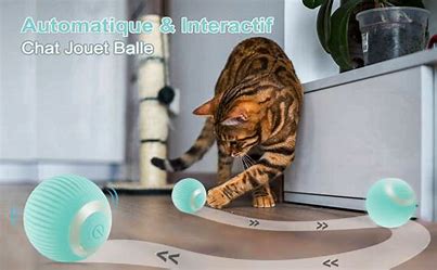 CrazyBall - La balle intelligente rechargeable pour Chat